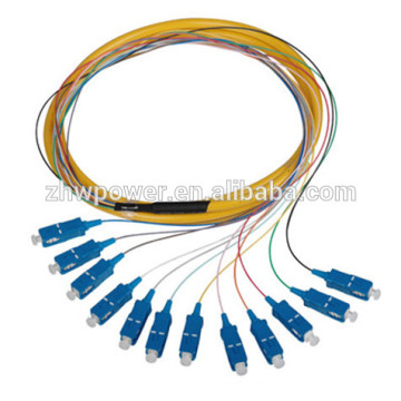 Sc 12 Core Fanout Fiber Optic Pigtails, Sm Simplex 12 Core Optical Fibre Pigtail mit günstigen Preis